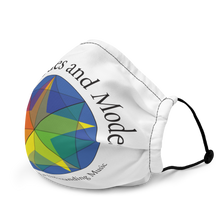 Load image into Gallery viewer, Premium face mask